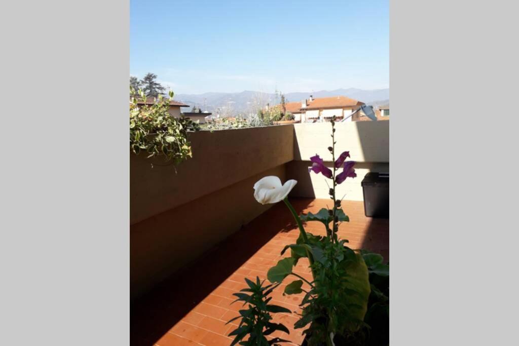 Ferienwohnung Locazione Turistica Chichibio Pistoia Exterior foto