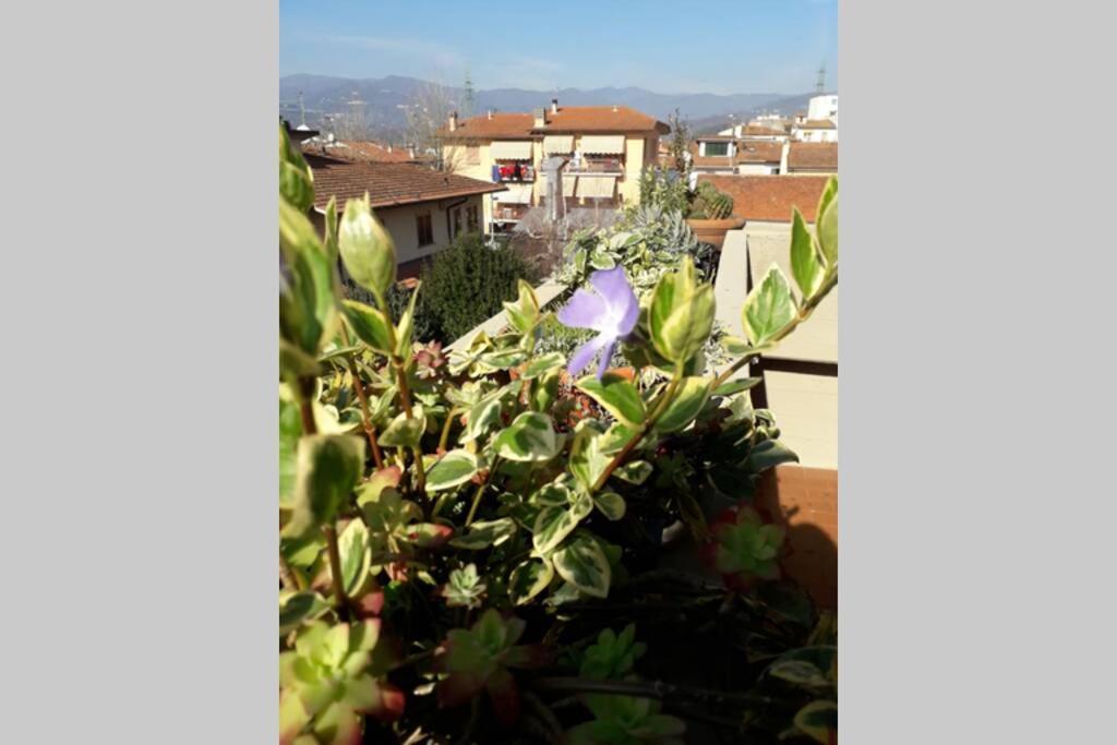 Ferienwohnung Locazione Turistica Chichibio Pistoia Exterior foto